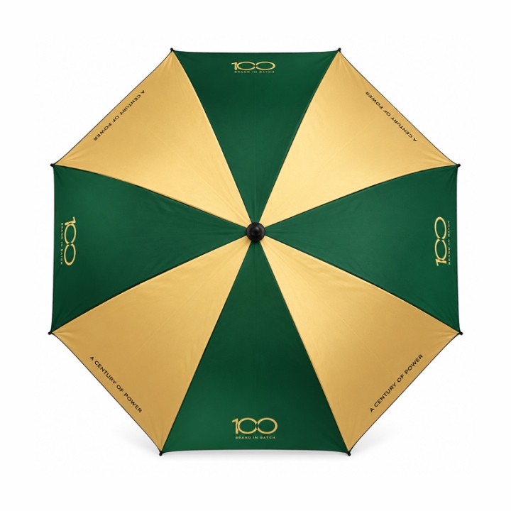 Custom Logo Two-Tone Promotional Umbrella with Alternating Color Panels
